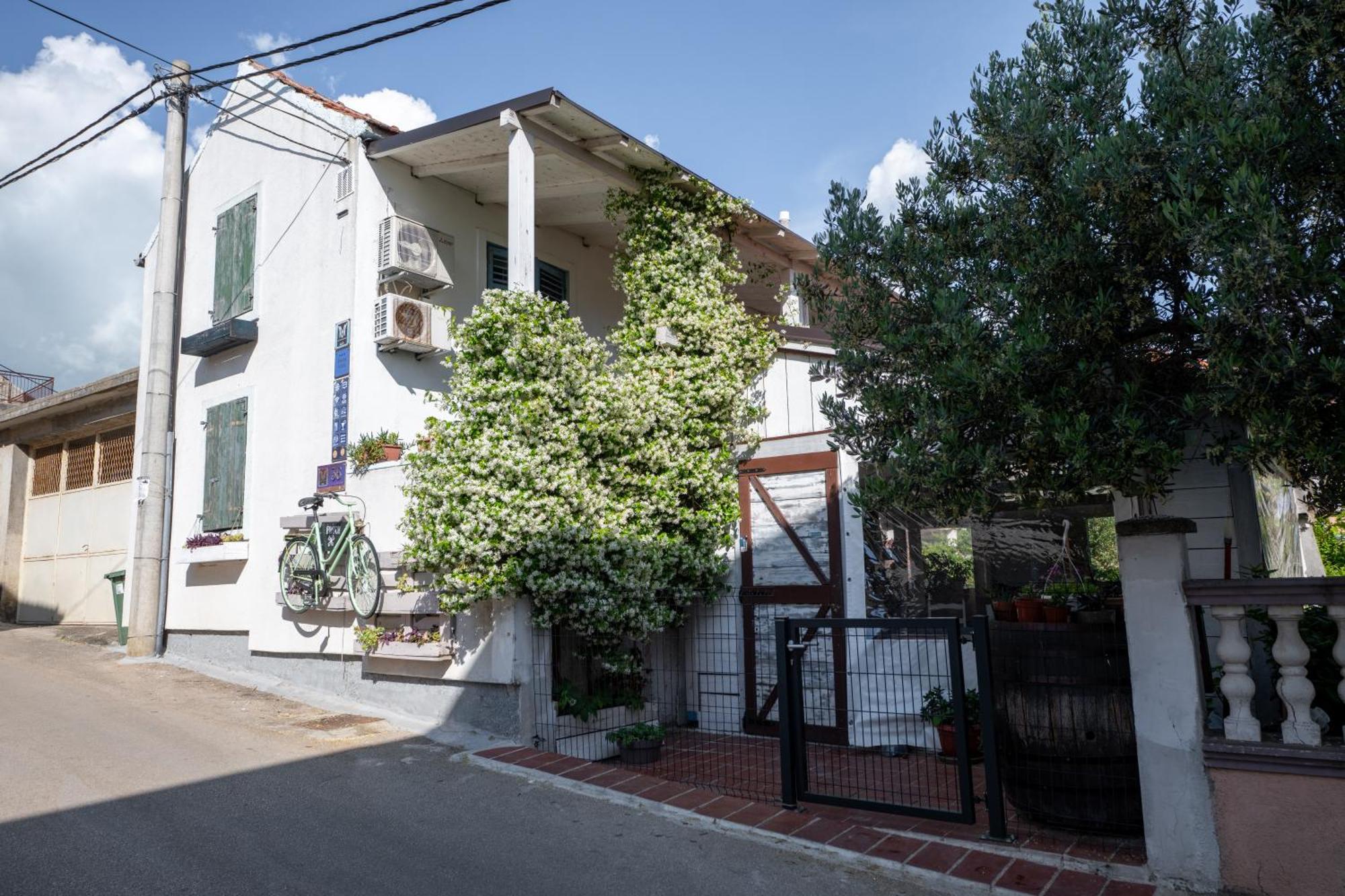 Guest House Mediterranea Pakoštane Exteriér fotografie